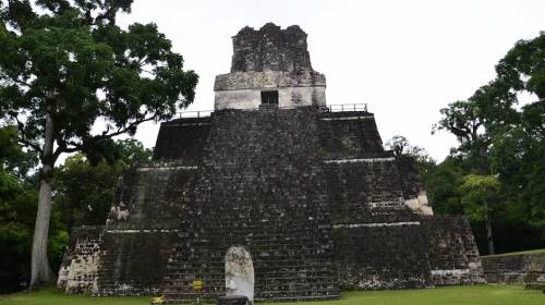 Prohíben paso al Templo II de Tikal para proteger nido de halcón