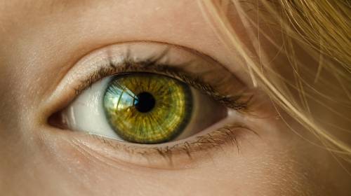 ¿Tienes ojos verdes? Ese color es más extraño de lo que crees