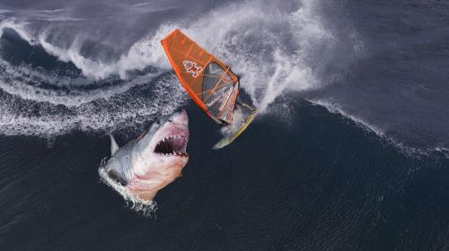 VIDEO: Momento en que un kitesurfer choca con un tiburón