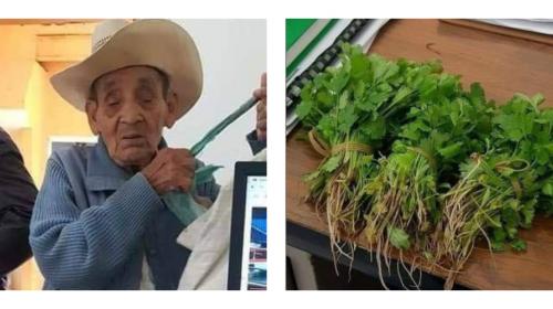 Anciano no tiene dinero y paga con 3 ramos de cilantro