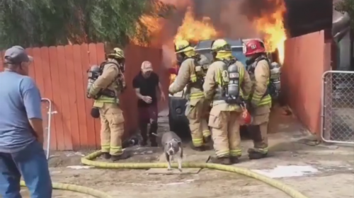 El hombre que se enfrentó a un incendio para salvar a su perro