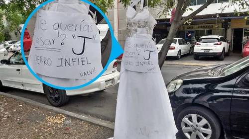 Novia cuelga su vestido en un árbol con un mensaje para su novio