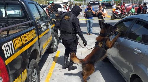 Agente K9 localiza cocaína dentro de vehículo en un supermercado