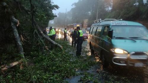 Árboles caídos por lluvia y accidentes en Guatemala y Mixco