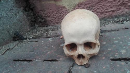 El misterioso cráneo localizado en el Museo del Ferrocarril 