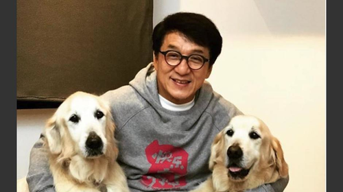 ¿Jackie Chan está en cuarentena por coronavirus? 