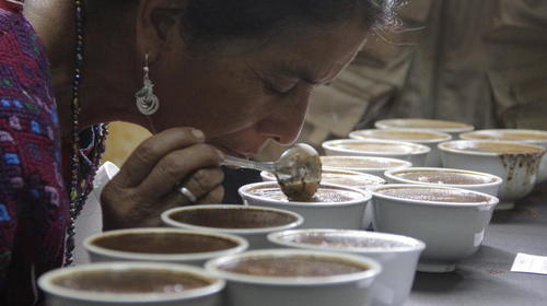 Guatemala aumenta exportación de café tostado en plena pandemia