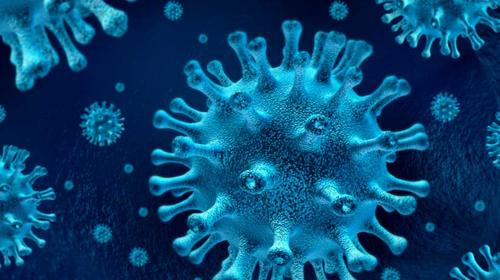 ¿Es el nuevo coronavirus sensible a las estaciones?