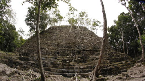 Documental relata conflicto en Reserva de la Biosfera Maya