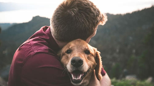 El conmovedor abrazo que un perro da a su cuidador