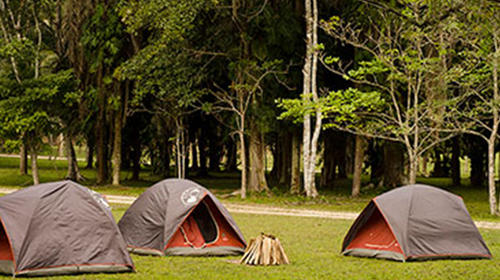 ¡Vamos a acampar! cinco lugares que vas a querer visitar