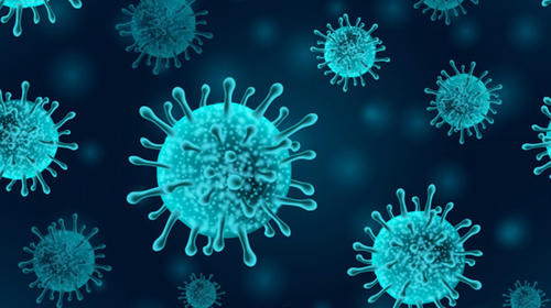 El coronavirus sobrevive en la piel cinco veces más que la gripe
