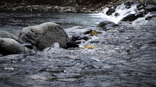 Joven muere ahogado por querer cruzar un río para ver a su hija
