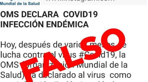 ¿La OMS declaró el Covid-19 como un virus endémico? R: Falso