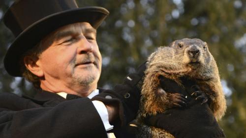 ¿Qué es y por qué se celebra el Día de la Marmota en Estados Unidos?