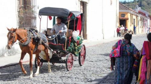 Ciudadanos se unen para prohibir paseos de caballos en la Antigua