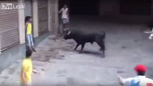 Una mujer se queda paralizada antes de ser atacada por un toro 