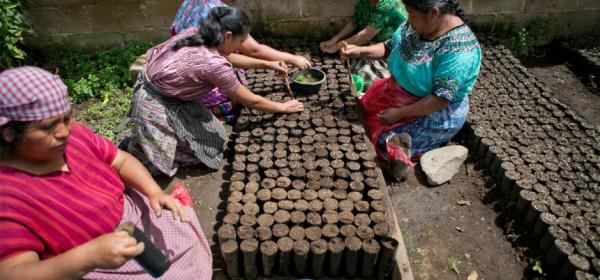 ¿Quiénes son más desempleados: hombres o mujeres? 