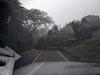 Fuertes lluvias en Amatitlán provocan caída de árboles y ramas