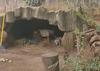 La cuidadora de lobos en el zoológico La Aurora que se hizo viral