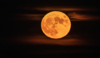 Luna del Ciervo: ¿Cuándo ver este fenómeno en julio?