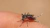 Guatemala es el primer lugar por fallecimientos de Dengue