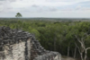 Descubren accidentalmente una impresionante ciudad maya